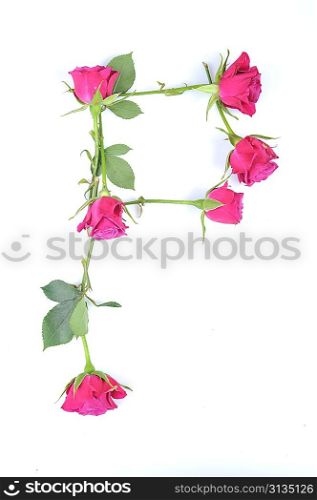 letter P maded from roses