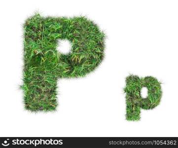 letter P on green grass isolated on over white background