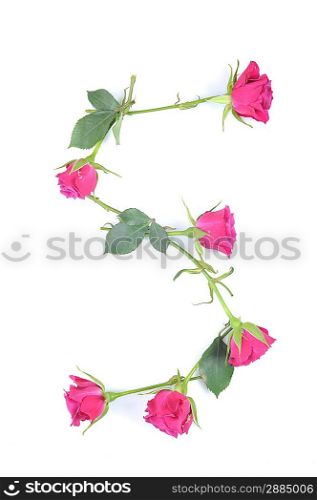 letter S maded from roses