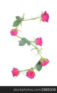 letter S maded from roses