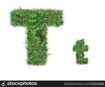 letter T on green grass isolated on over white background