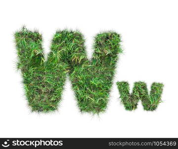 letter W on green grass isolated on over white background