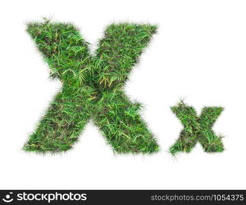 letter X on green grass isolated on over white background