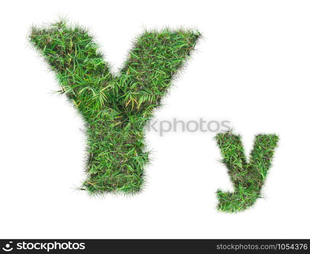 letter Y on green grass isolated on over white background