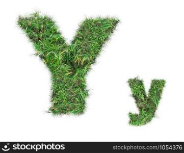 letter Y on green grass isolated on over white background
