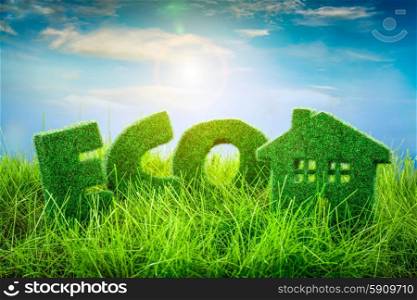 Letters on the and Little House green grass on blue background. Eco concept.