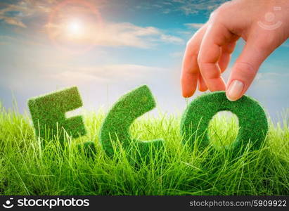 Letters on the green grass on blue background. Eco concept.