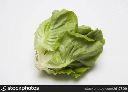 Lettuce