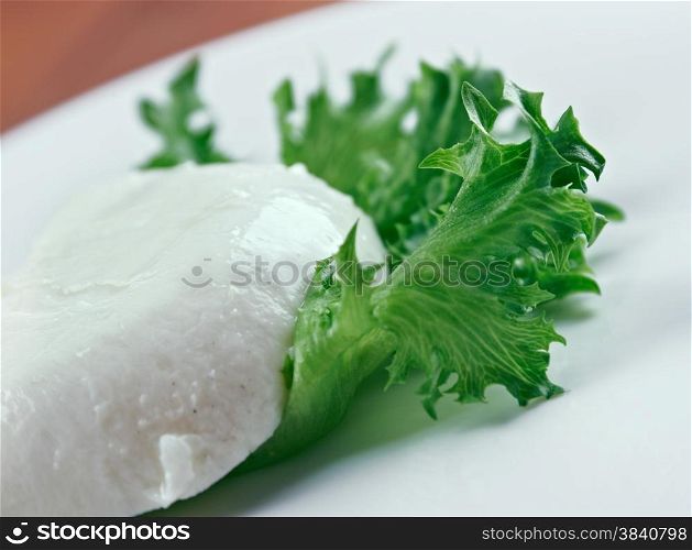 lettuce and greek feta cheese. close up