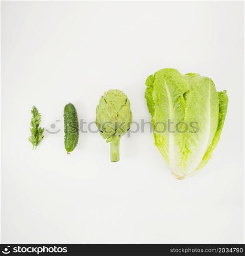 lettuce artichoke cucumber parsley