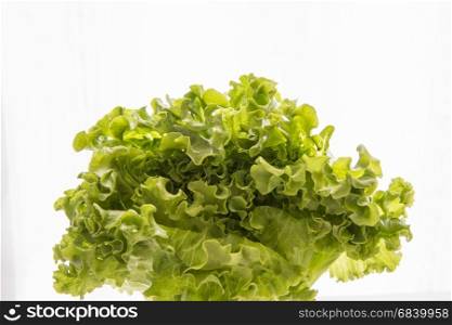 Lettuce, fresh organic green salad, healthy diet nutrition