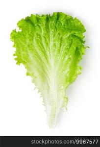 Lettuce leaves isolated on white background. Top view. Lettuce leaves on a white background.