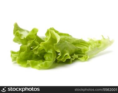 Lettuce salad isolated on white background