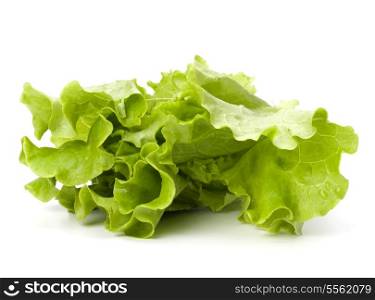 Lettuce salad isolated on white background