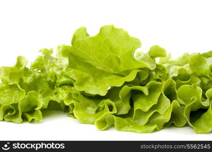 Lettuce salad isolated on white background