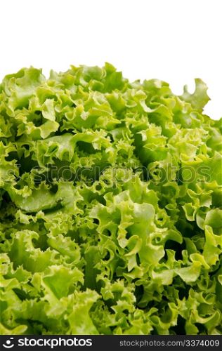 Lettuce salad leaves on a white background.