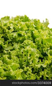 Lettuce salad leaves on a white background.