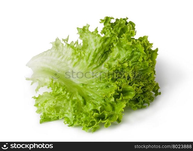 Lettuce salad. Lettuce salad isolated on white background