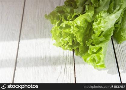 lettuce salad on a wood. lettuce salad on a white wood background