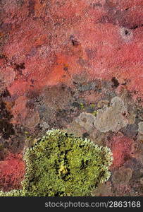 lichen green on red rock texture nature backgrounds