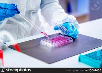  Life science researcher in laboratory
