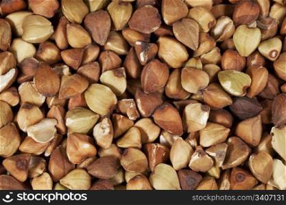 life-size macro of buckwheat kasha roasted whole grain