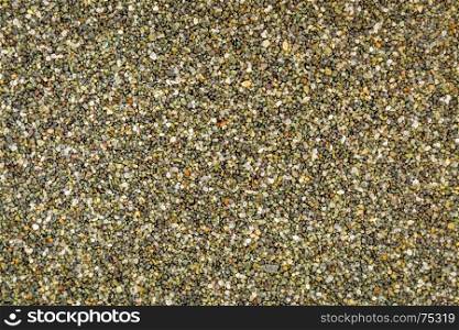 life size macro of colorful sand grain from Black Point Beach, Sonoma County, California