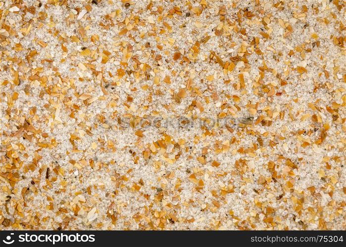 life size macro of colorful sand grain from Daytona Beach, Volusia County, Florida