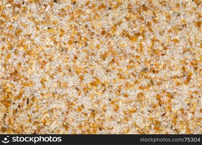 life size macro of colorful sand grain from Daytona Beach, Volusia County, Florida