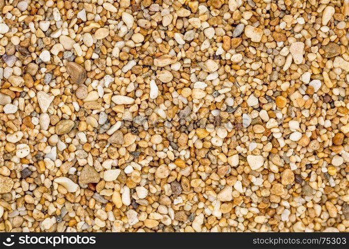 life size macro of colorful sand grain from Kauai Sands Hotel Beach, Kauai, Hawaii