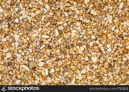 life size macro of colorful sand grain from Kauai Sands Hotel Beach, Kauai, Hawaii