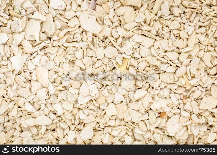 life size macro of colorful sand grain from Marquesas Key Beach, Monroe County, Florida