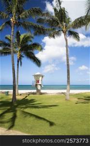 Lifeguard hut on the beach, Waikiki Beach, Honolulu, Oahu, Hawaii Islands, USA