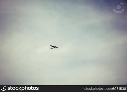 Light aircraft flying in the sky