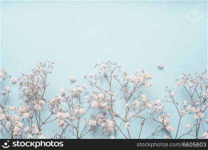Light blue floral background border with white Gypsophila flowers. Baby&rsquo;s-breath flowers on pastel blue desktop. Flat lay spring and summer