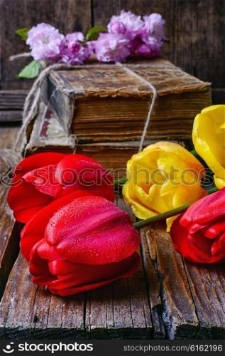 light bouquet of red tulips and retro book. Five cut tulips