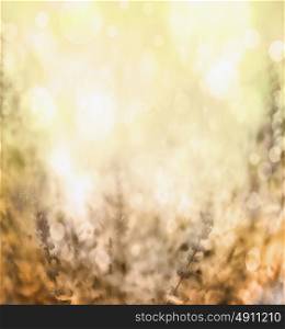 light brown yellow blurred nature background with bokeh