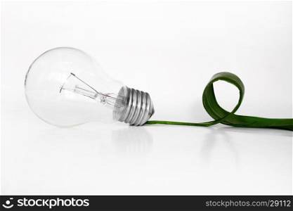 Light bulb and leaf concept
