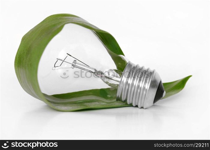 Light bulb and leaf concept