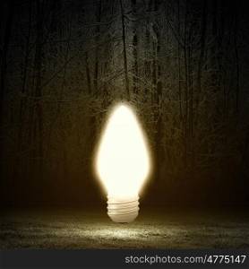 Light bulb. Conceptual image with light bulb and night forest