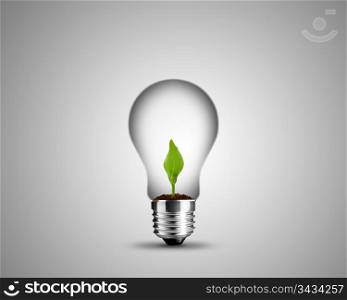 light bulb made from and small plant inside, light bulb conceptual Image.
