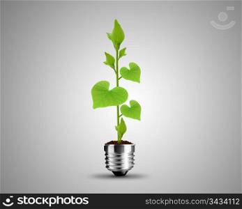 light bulb made from green Leaves , light bulb conceptual Image.