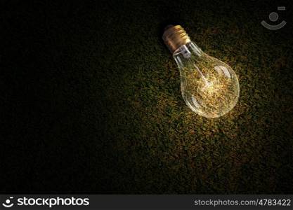 Light bulb on grass. Glowing light bulb on green grass as symbol of ecological energy