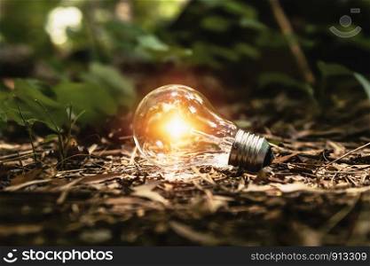 light bulb on ground with sunshine in forest. concept clean energy