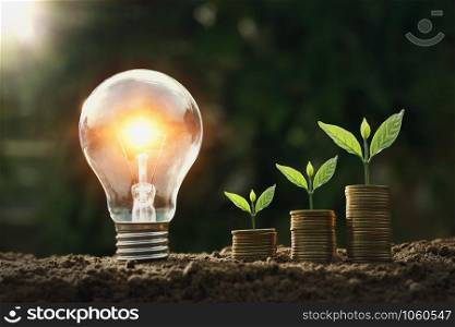 light bulb on soil with young plant growing on money stack. saving finance