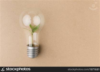 light bulb small plant inside. High resolution photo. light bulb small plant inside. High quality photo