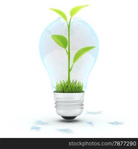 Light bulb with green plant inside