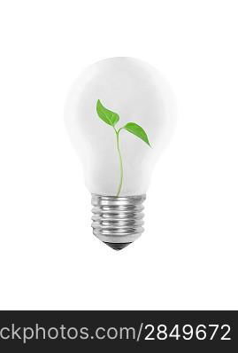 Light bulb with leaves