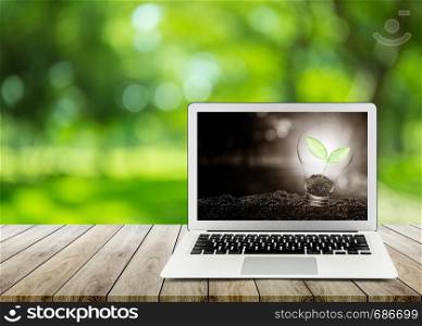 Light bulb with plant growing inside on soil ecology with laptop on wooden table nature green background , Concept of conserve environment.