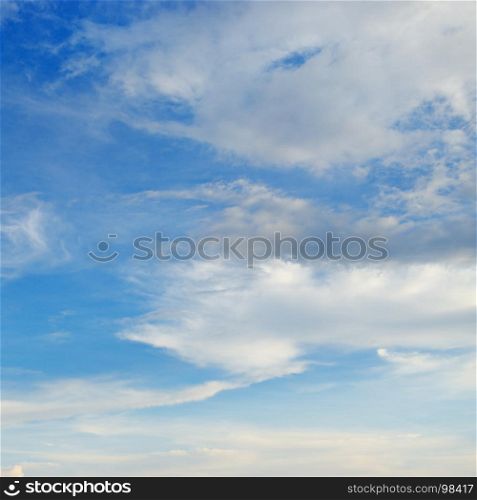 Light cirrus clouds in the blue bright sky.